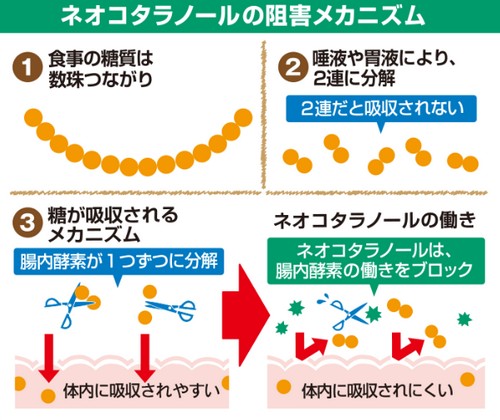 サラシア100について